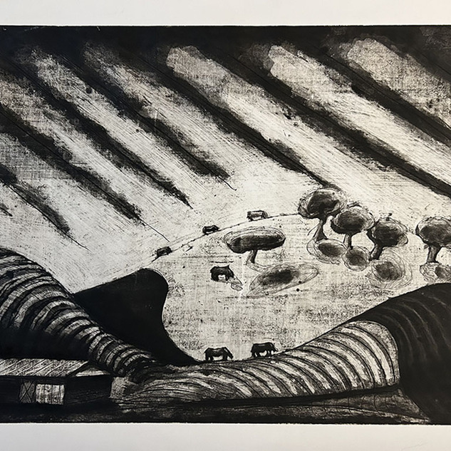 Cows in the Vineyard